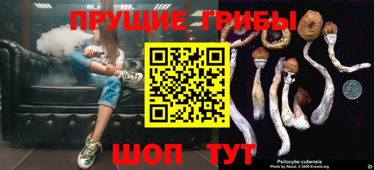 Кострома  Псилоцибиновые грибы GOLDEN TEACHER  Вход с VPN 