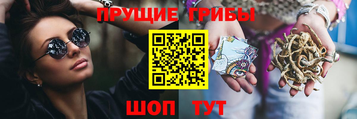 Псилоцибиновые грибы MAGIC MUSHROOMS Кострома